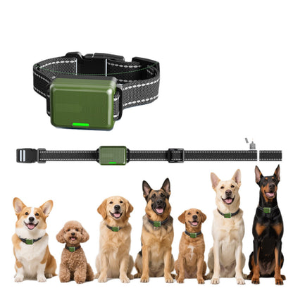 Pawsli™ Remote Dog Training Collar (Humane & Adjustable)